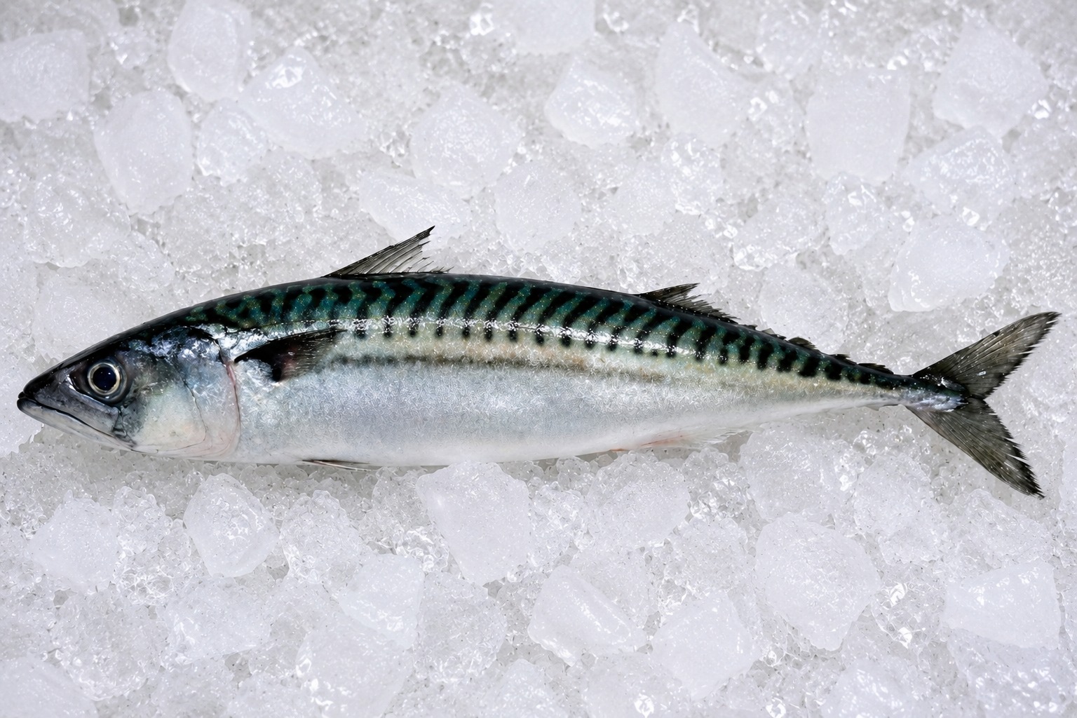 Caballa